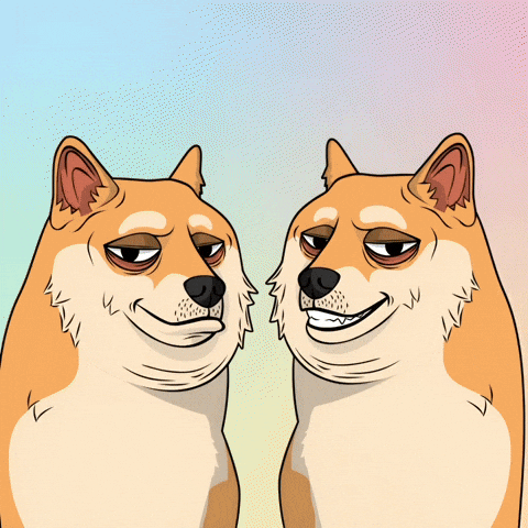 Judging Shiba Inu GIF by Doge Pound