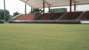 University Of Louisville Go Cards GIF by Louisville Cardinals