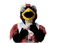 oh no what Sticker by Rowdy the Roadrunner