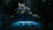 Taika Waititi GIF by Xbox