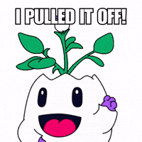 Happy I Did It GIF by Magic Eden