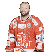 Hockey Sticker by dsc-eishockey