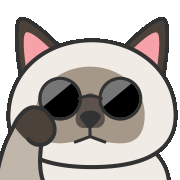 chou2_cat cool 帥 臭臭 chou2cat Sticker