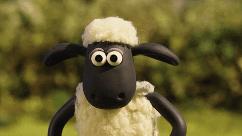 Confused Shaun The Sheep GIF by Aardman Animations