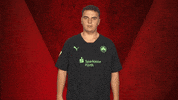 Fürth GIF by Bundesliga