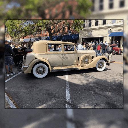 corycarnleygainesville giphygifmaker giphyattribution GIF