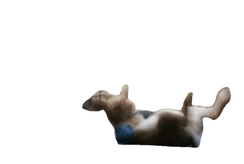 Sad On My Way Sticker by Peter Rabbit Movie