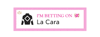 Horse Racing Sticker by Kentucky Derby