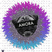 Zeedog Sticker by Amora Pug Brasil