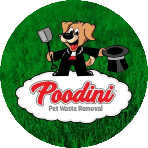 Pooper Scooper Sticker by Good Vibes Dogtography