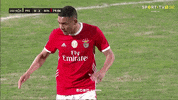 Sl Benfica Clap GIF by Sport Lisboa e Benfica