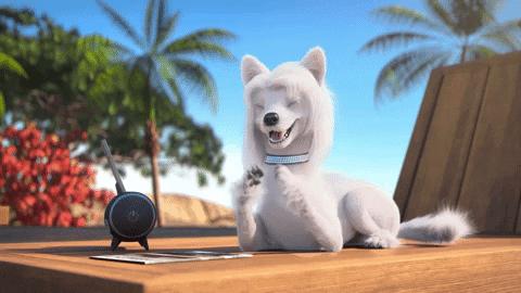 Happy Dog GIF by MightyMike