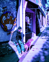 film dog GIF by Doctor Popular