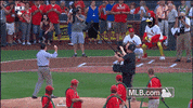 stl GIF by MLB