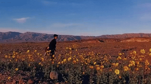 running GIF by Alexandra Savior