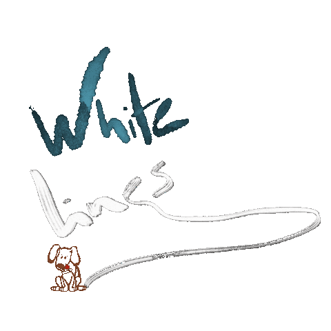 donzliafernandes giphyupload netflix tvshow whiteline Sticker
