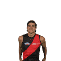 Dons Bombers Sticker by Essendon FC