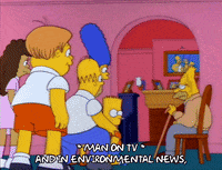 homer simpson GIF