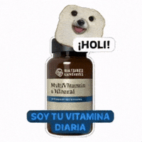 Minerales GIF by Power Health