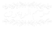 Olive Oil Palestine Sticker by Natalie Tahhan