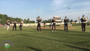 gastonia grizzlies dance GIF by Coastal Plain League