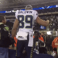 sb48 GIF by NFL