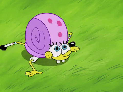 season 4 GIF by SpongeBob SquarePants