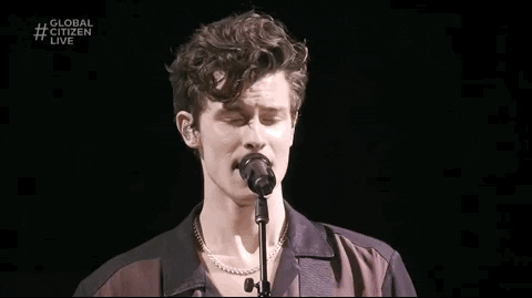 Shawn Mendes GIF by Global Citizen