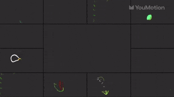 Plant nature motion bundle