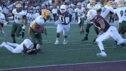north dakota state football GIF by NDSU Athletics