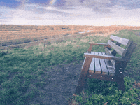 lemondrop_social sky alone bench peaceful GIF
