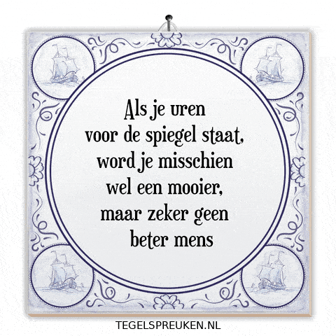 Nl Troost GIF by Tegelspreuken.nl