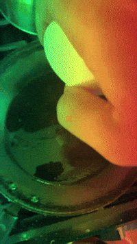 grahampa egg fried scrambled GIF