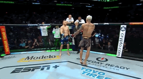 Mixed Martial Arts Fighting GIF by UFC