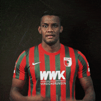 La Pantera Bundesliga GIF by FC Augsburg 1907