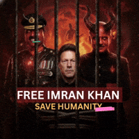 Human Rights Freedom GIF