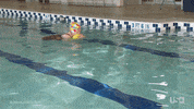 chrisleyknowsbest television usa usa network chrisley GIF
