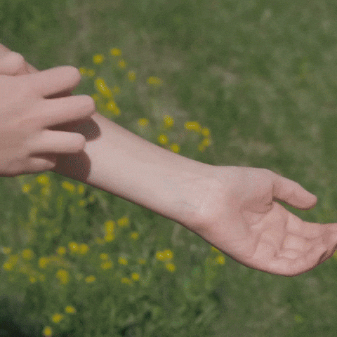 guidetobetterliving giphyupload clean natural organic GIF
