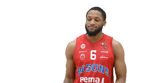 Sport Basketball Sticker by Basket_fi