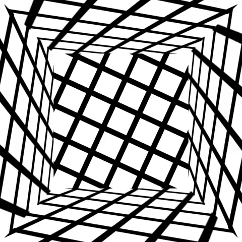 black and white cube GIF by partyonmarz