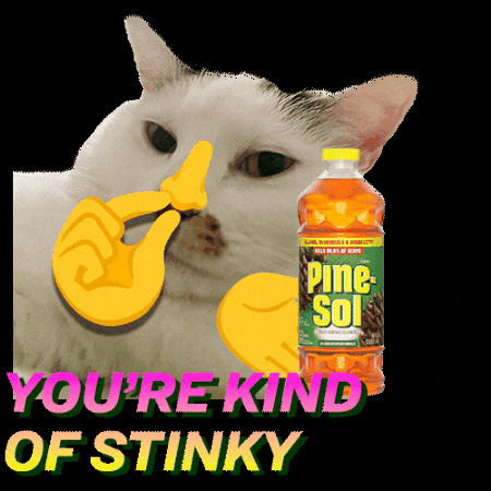 Stinky GIF by Pine-Sol