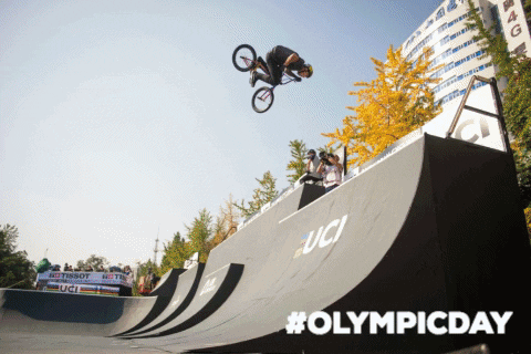 GIF by UCI