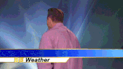 kevin GIF by Big Brother