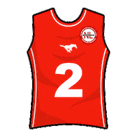 mustangsnl flagfootball tochito ifaf fmfa Sticker