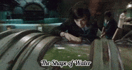 The Shape Of Water Merman GIF