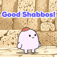 Jewish Chabad GIF by Bereishis Foundation