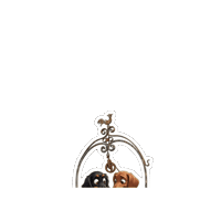 Dachshund Doxie Sticker