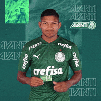 Puma Smiling GIF by SE Palmeiras