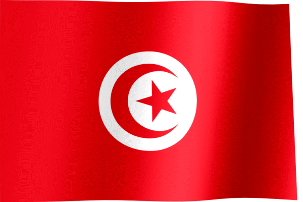 Tunisien GIFs - Get the best GIF on GIPHY