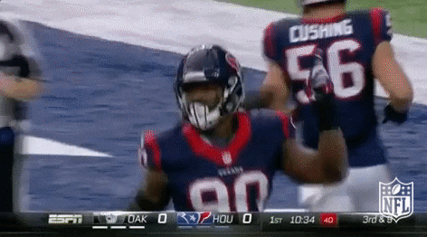 Houston Texans No GIF by NFL